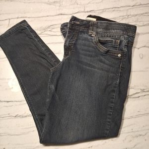 Democracy Dark Denim Jeans